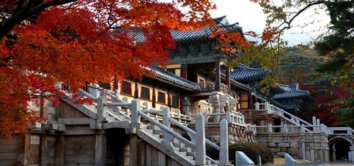 bep-au-4-hong-co-lo-nuong-inoksan-ino-7kg23s