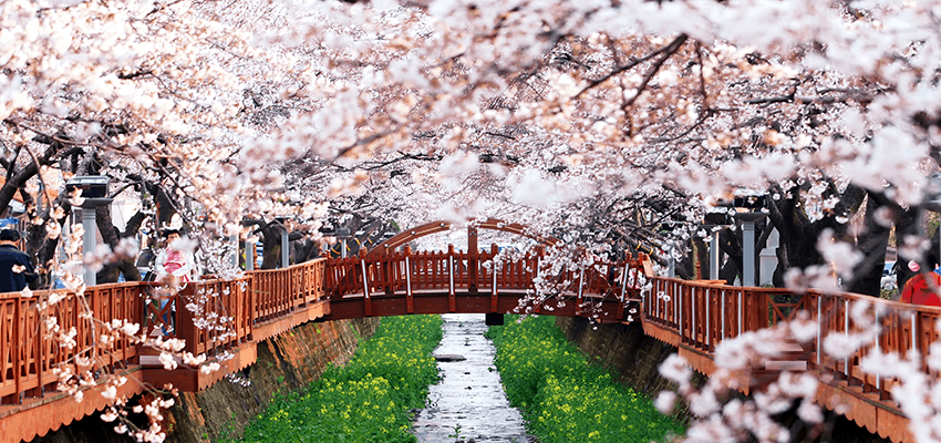 bep-au-4-hong-co-lo-nuong-inoksan-ino-7kg23s