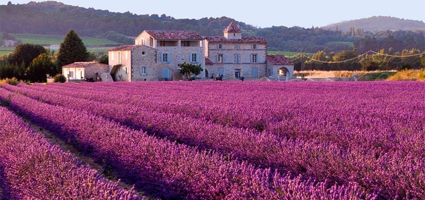 6 điều nên và không nên làm khi du lịch Pháp