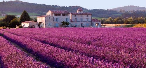 bep-au-4-hong-co-lo-nuong-inoksan-ino-7kg23s