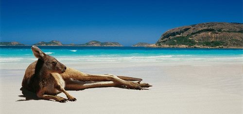 Du lịch Úc mùa nào đẹp nhất?