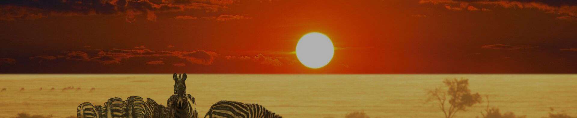 Dịch vụ làm Visa Nam Phi du lịch & công tác