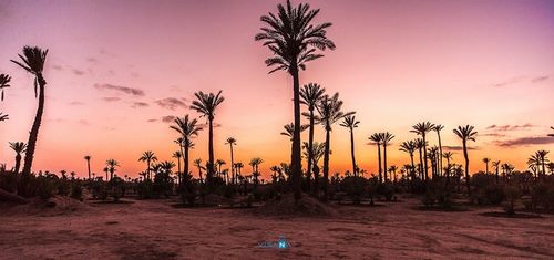 Những điều chỉ có thể trải nghiệm ở Maroc