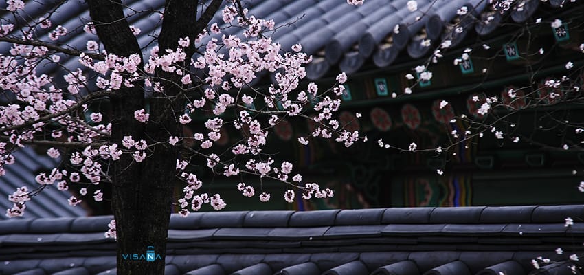 Đừng để trượt visa Hàn Quốc khi bạn đã có kế hoạch đi những điểm sau