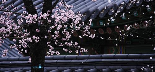 bep-au-4-hong-co-lo-nuong-inoksan-ino-7kg23s