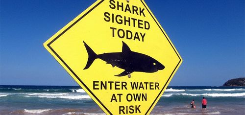 4 lời khuyên để có chuyến du lịch Úc an toàn