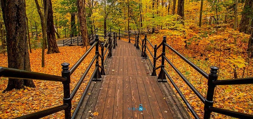 Kinh nghiệm định cư Canada