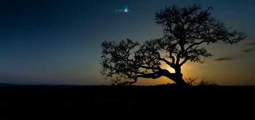 Xin visa đi Nam Phi du lịch ngay để khám phá 11 địa danh tuyệt vời này!